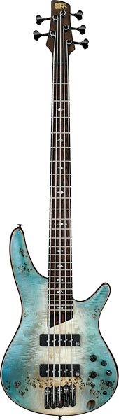open zoom image for Ibanez Premium SR1605B Bass, 5-String (with Gig Bag), Action Position Back
