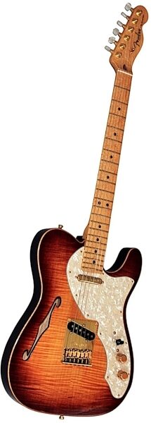 open zoom image for Fender Select Thinline Telecaster Electric Guitar, Maple Fingerboard (with Case), Violinburst with Gold Hardware