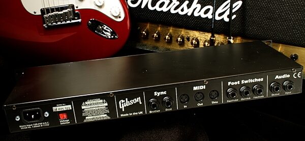 open zoom image for Gibson TGE05 Echoplex Digital Pro Plus, Application Shot Back