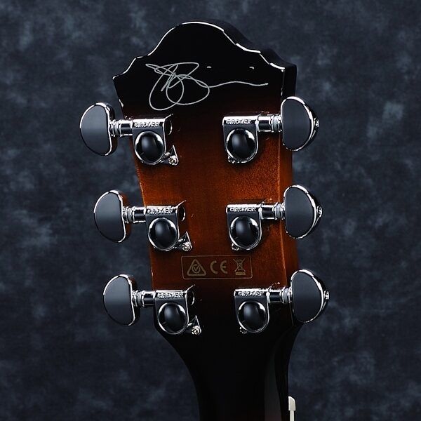 open zoom image for Ibanez JSA5 Joe Satriani Acoustic-Electric Guitar, Alt
