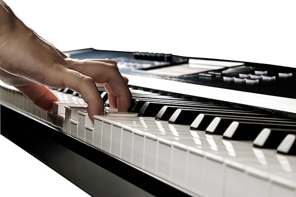 open zoom image for Korg Nautilus 61 AT Synthesizer Workstation Keyboard, Black, Action Position Back