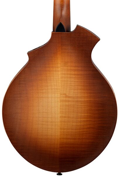 open zoom image for Breedlove American KO Vintage Mandolin (with Case), Back Closeup