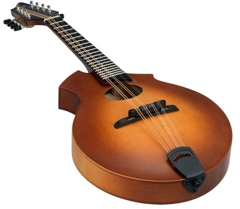 open zoom image for Breedlove American KO Vintage Mandolin (with Case), Closeup