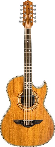 open zoom image for H. Jimenez LBQ1E-NM Bajo Quinto Acoustic Guitar (with Gig Bag), New, Action Position Back