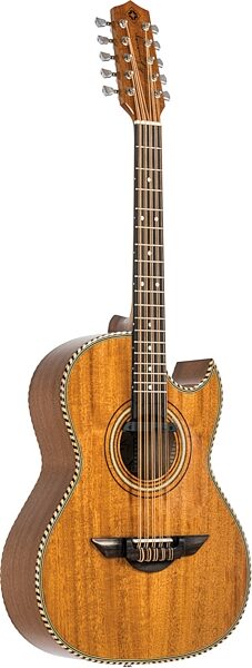 open zoom image for H. Jimenez LBQ1E-NM Bajo Quinto Acoustic Guitar (with Gig Bag), New, Action Position Back
