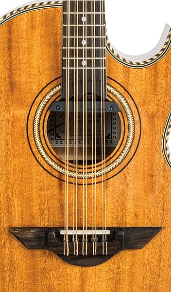 open zoom image for H. Jimenez LBQ1E-NM Bajo Quinto Acoustic Guitar (with Gig Bag), New, Action Position Back