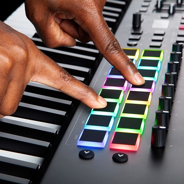 open zoom image for M-Audio Hammer 88 Pro USB MIDI Keyboard Controller, New, Action Position Back