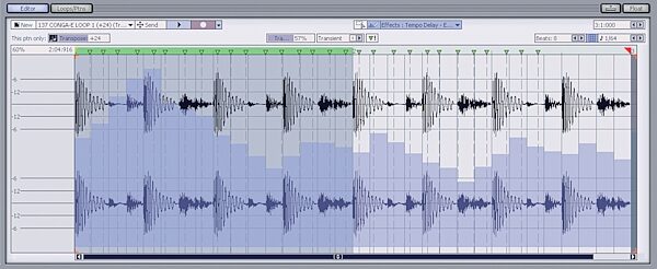 open zoom image for Cakewalk Software Project5 Soft Synth Workstation (Windows), Loop Editor