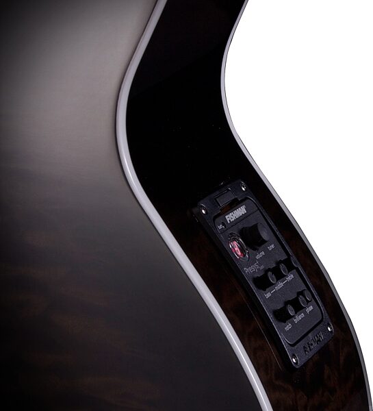open zoom image for Michael Kelly Dragonfly 5 Acoustic-Electric Bass Guitar, 5-String, Pau Ferro Fretless Fingerboard, Java, Action Position Back
