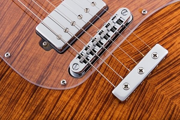 open zoom image for Ernie Ball Music Man BFR Steve Morse HH Electric Guitar (with Case), ve