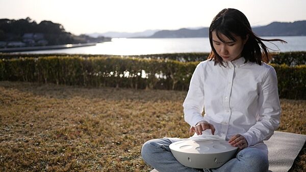 open zoom image for Roland MN-10 Mood Pan Electronic Handpan Instrument, New, Action Position Back