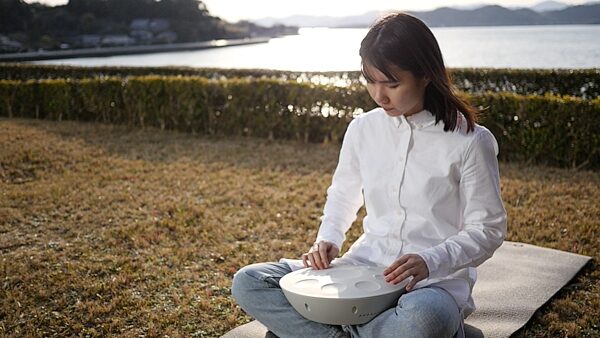 open zoom image for Roland MN-10 Mood Pan Electronic Handpan Instrument, New, Action Position Back