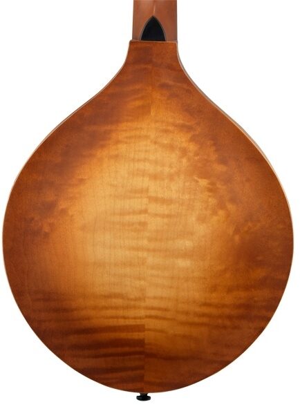 open zoom image for Breedlove American OO Vintage Mandolin (with Case), Back Closeup