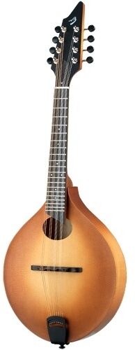 open zoom image for Breedlove American OO Vintage Mandolin (with Case), Angle