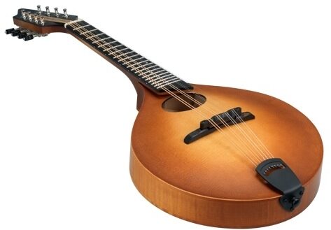 open zoom image for Breedlove American OO Vintage Mandolin (with Case), Closeup