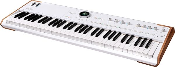 open zoom image for Arturia AstroLab 61 Performance Stage Keyboard, New, Action Position Back