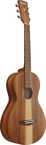 open zoom image for Ibanez PN2WS Acoustic Guitar, Open Pore Brown, Action Position Back