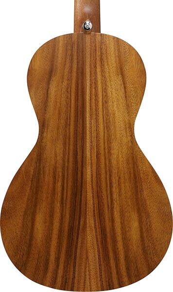 open zoom image for Ibanez PN2WS Acoustic Guitar, Open Pore Brown, Action Position Back