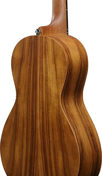 open zoom image for Ibanez PN2WS Acoustic Guitar, Open Pore Brown, Action Position Back