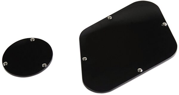 open zoom image for Gibson Backplate Combo, Black, view