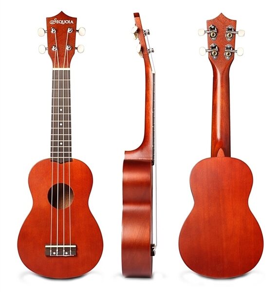 open zoom image for eMedia Play Ukulele Pack, All Sides