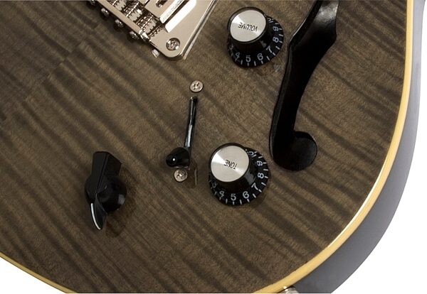 open zoom image for Epiphone Blueshawk Deluxe Electric Guitar, Transparent Black Controls