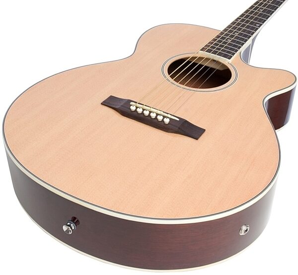 open zoom image for Epiphone PR-4E Acoustic-Electric Guitar Player Package, View 3