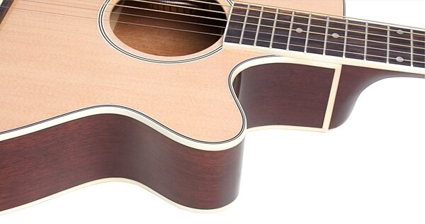 open zoom image for Epiphone PR-4E Acoustic-Electric Guitar Player Package, View 5