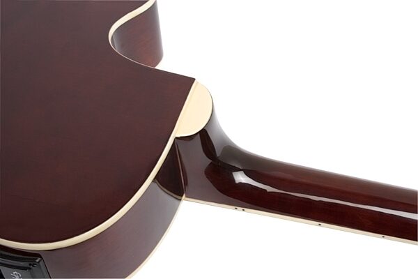 open zoom image for Epiphone PR-4E Acoustic-Electric Guitar Player Package, View 8