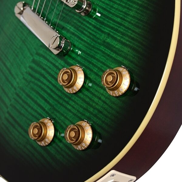 open zoom image for Epiphone Limited Edition Slash Les Paul Standard Electric Guitar, Alt