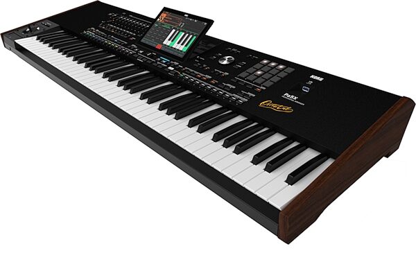 open zoom image for Korg Pa5X Oriental Professional Arranger Keyboard, 76-Key, New, Action Position Back