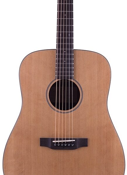 open zoom image for Breedlove Passport D/SM Dreadnought Acoustic Guitar, with Gig Bag, Closeup