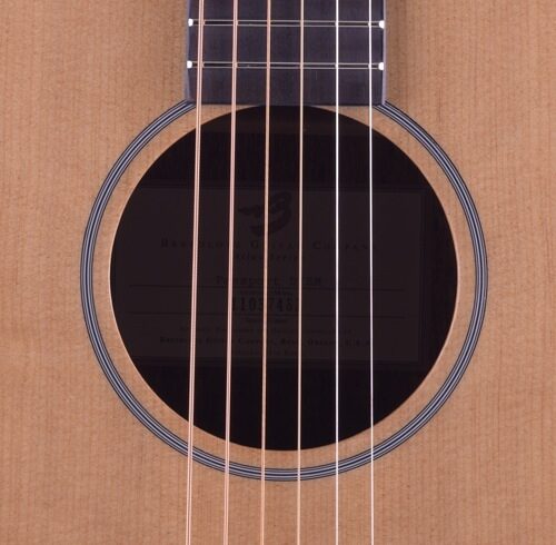 open zoom image for Breedlove Passport D/SM Dreadnought Acoustic Guitar, with Gig Bag, Soundhole