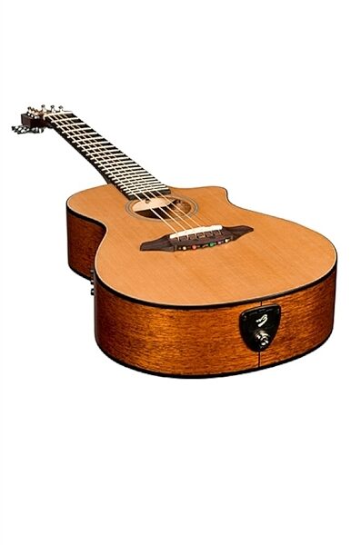 open zoom image for Breedlove C250/CM Passport Series Acoustic-Electric Guitar (with Gig Bag), Bottom