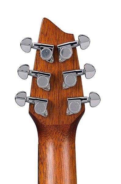 open zoom image for Breedlove C250/CM Passport Series Acoustic-Electric Guitar (with Gig Bag), Back of Headstock