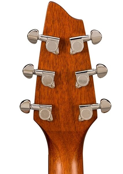 open zoom image for Breedlove Passport C250/COE Acoustic-Electric Guitar with Gig Bag, Back of Headstock