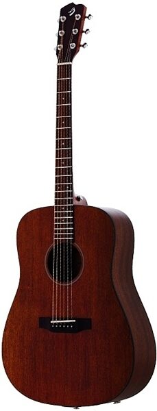 open zoom image for Breedlove Passport D/MME Acoustic-Electric Guitar with Gig Bag, Main