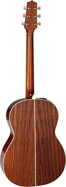 open zoom image for Takamine LTD 2020 Peace Acoustic-Electric Guitar (with Case), Action Position Back