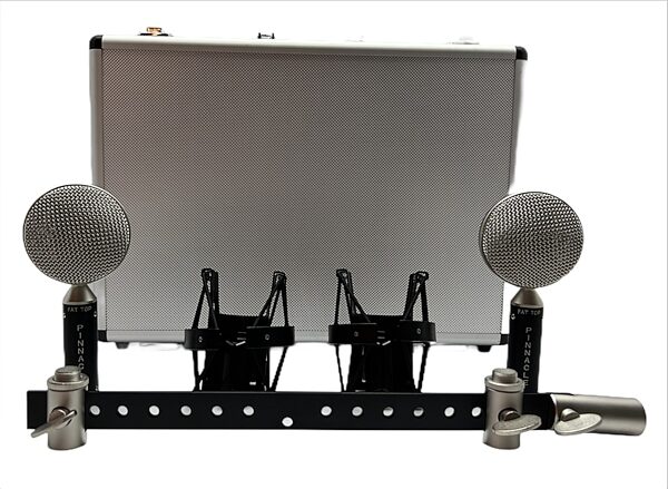 open zoom image for Pinnacle Microphones Fat Top Ribbon Microphone Pair, Black, Action Position Back