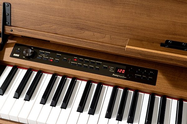 open zoom image for Korg Poetry Magnifique Home Digital Piano, New, Action Position Back