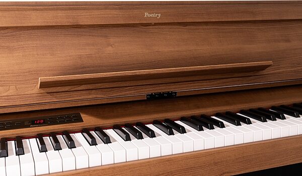 open zoom image for Korg Poetry Magnifique Home Digital Piano, New, Action Position Back