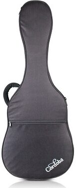 open zoom image for Cordoba Polyfoam Classical Guitar Case, Full Size, Main