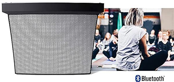 open zoom image for Alto Professional Presenter PA Portable Podium System with Rechargeable Battery, In Use