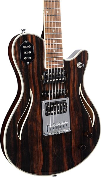 open zoom image for Michael Kelly Custom Collection Special Electric Guitar, Striped Ebony, Action Position Back