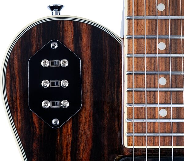 open zoom image for Michael Kelly Custom Collection Special Electric Guitar, Striped Ebony, Action Position Back
