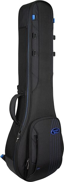 open zoom image for Reunion Blues RBC Expedition Banjo Case, Open Box (Very Good), Action Position Back