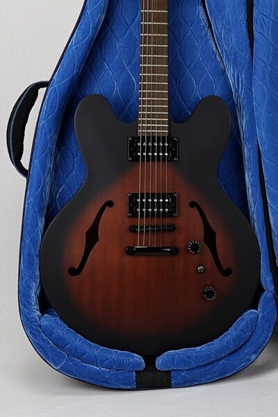open zoom image for Reunion Blues RBCSH Semi-Hollow Electric Guitar Gig Bag, View 5