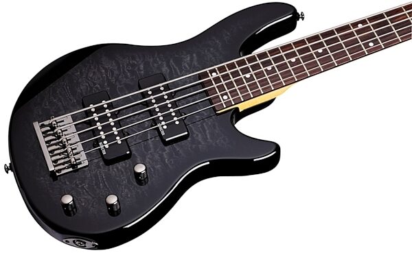 open zoom image for Schecter Raiden Special-5 Electric Bass (5-String), See Thru Black - Body
