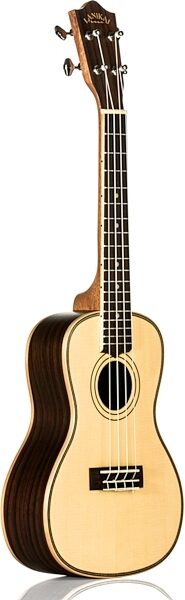 open zoom image for Lanikai Solid Spruce Top Concert Ukulele (with Gig Bag), New, Action Position Back