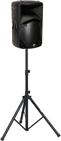 open zoom image for Mackie SRM450v2 2-Way Active PA Speaker (12"), Black - On Stand (NOT Included)